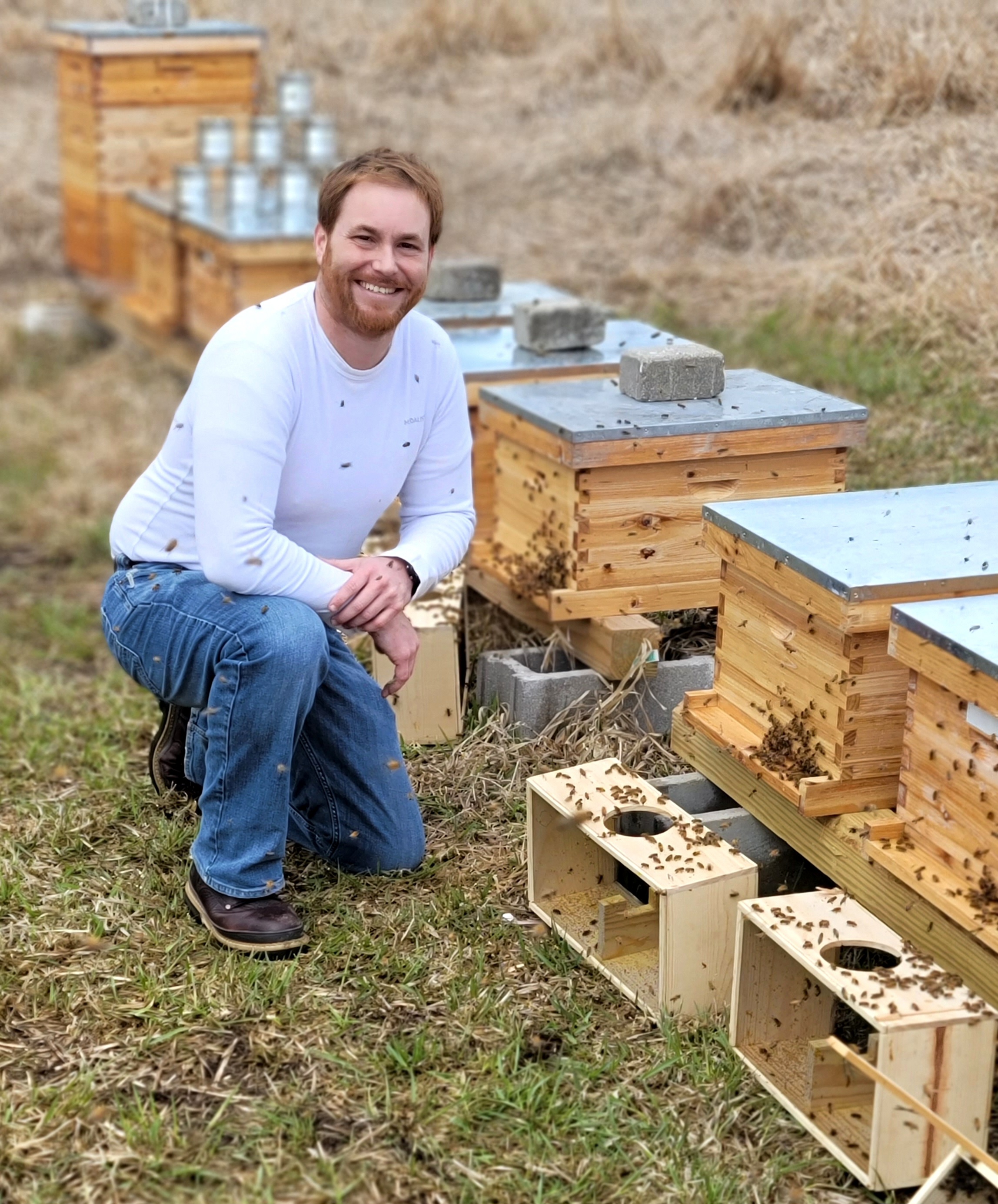 Paul Gover kneeling beside beehives in his outdoor apiary