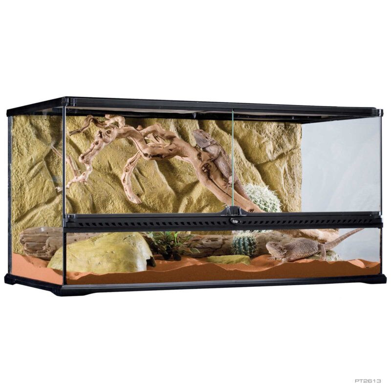 Blue-Tongued Skink Starter Kit