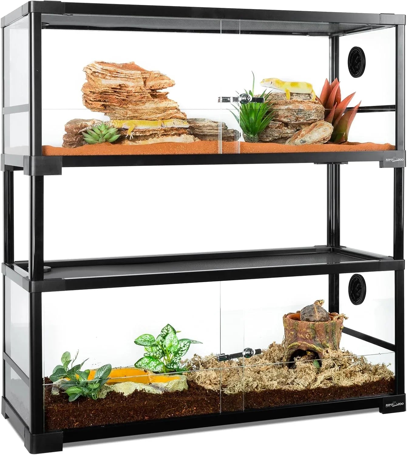 Ball Python Starter Kit