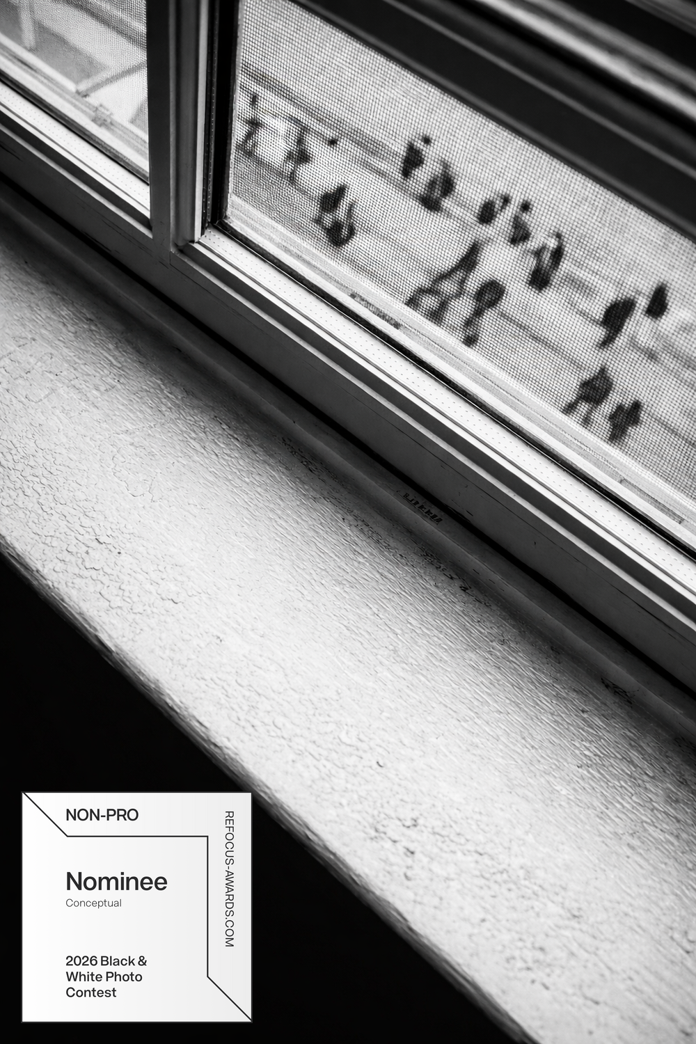 Craig Moyers — Sidewalk Stories Photography