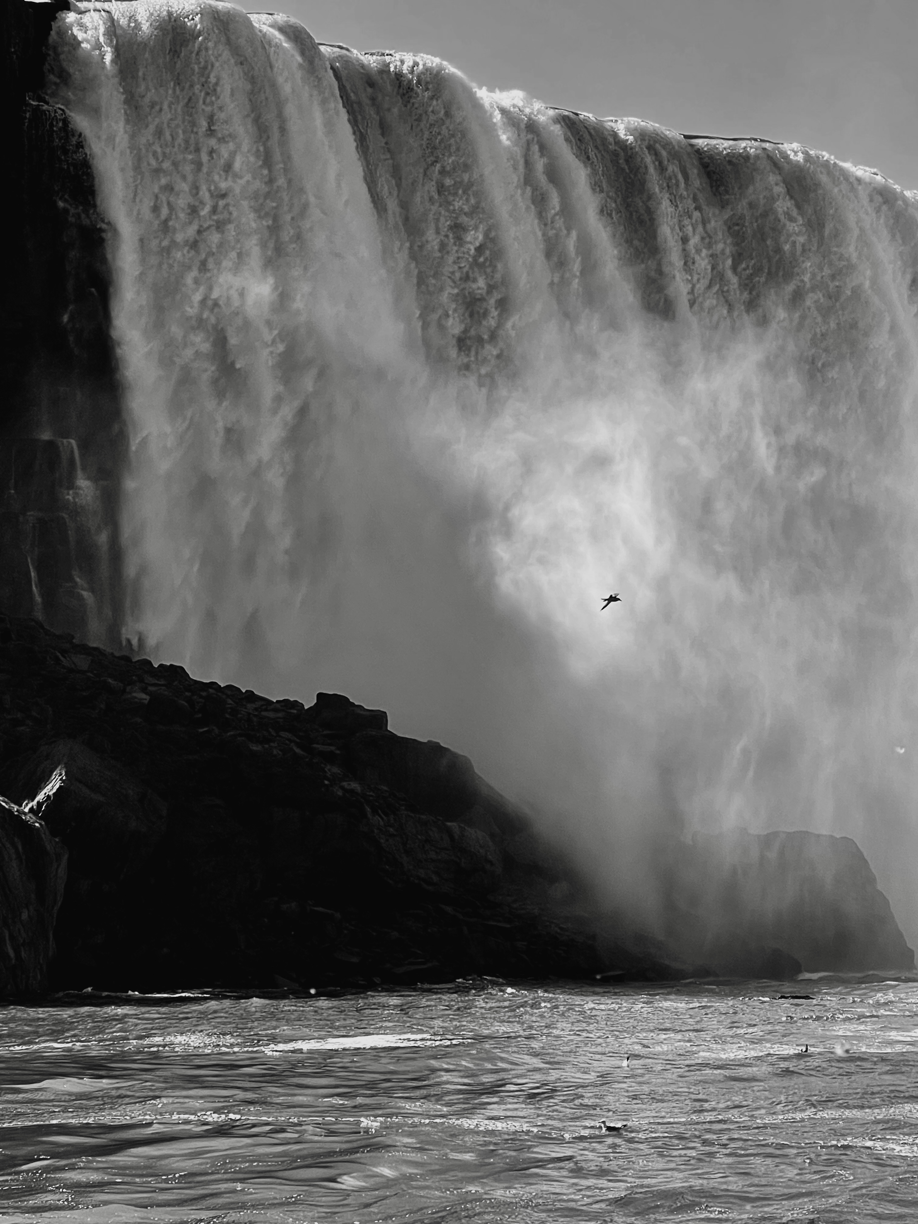 Power That Speaks Volumes — waterfall with a single bird silhouetted against the mist, fine art black and white landscape by Craig Moyers