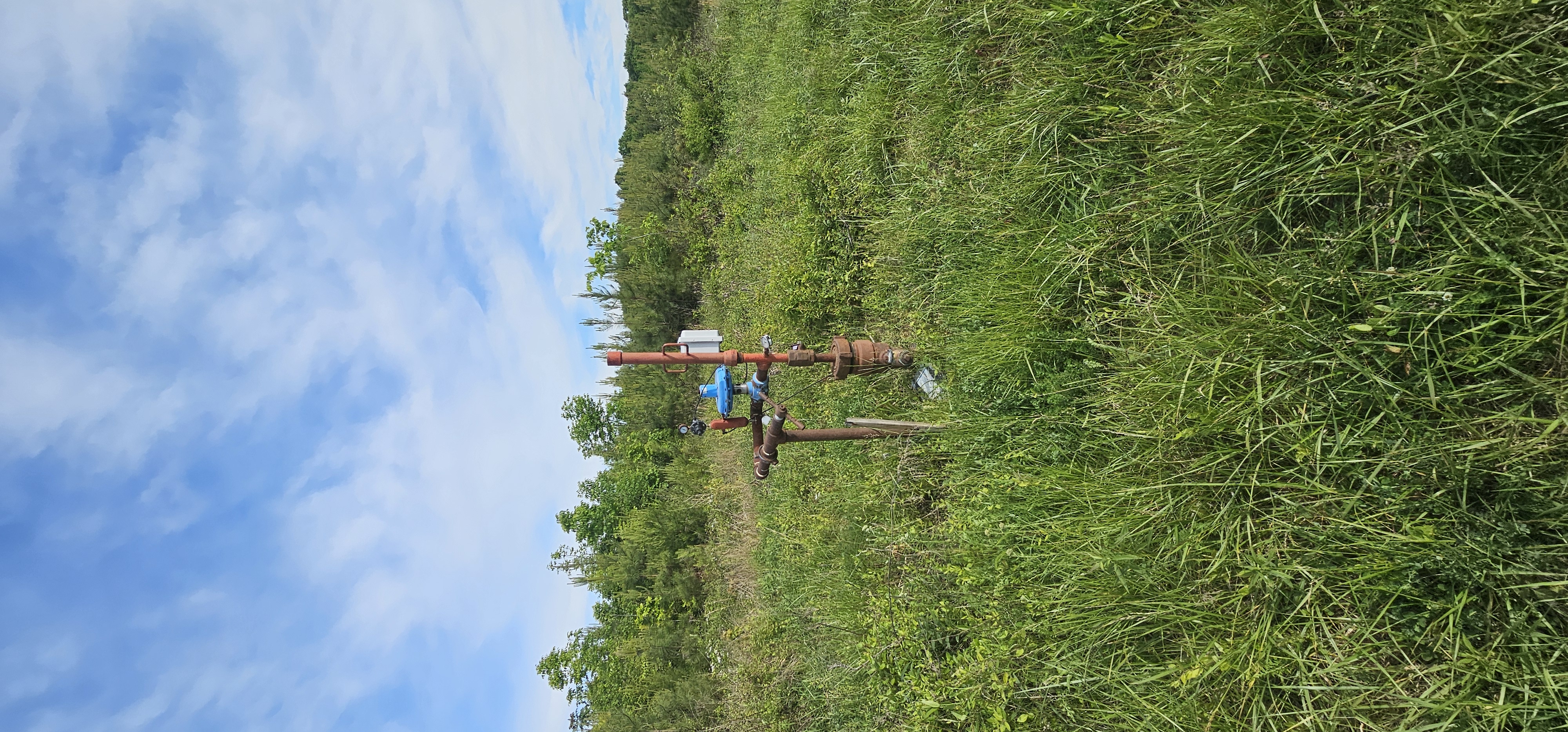 STABLER P 1 field photo 2