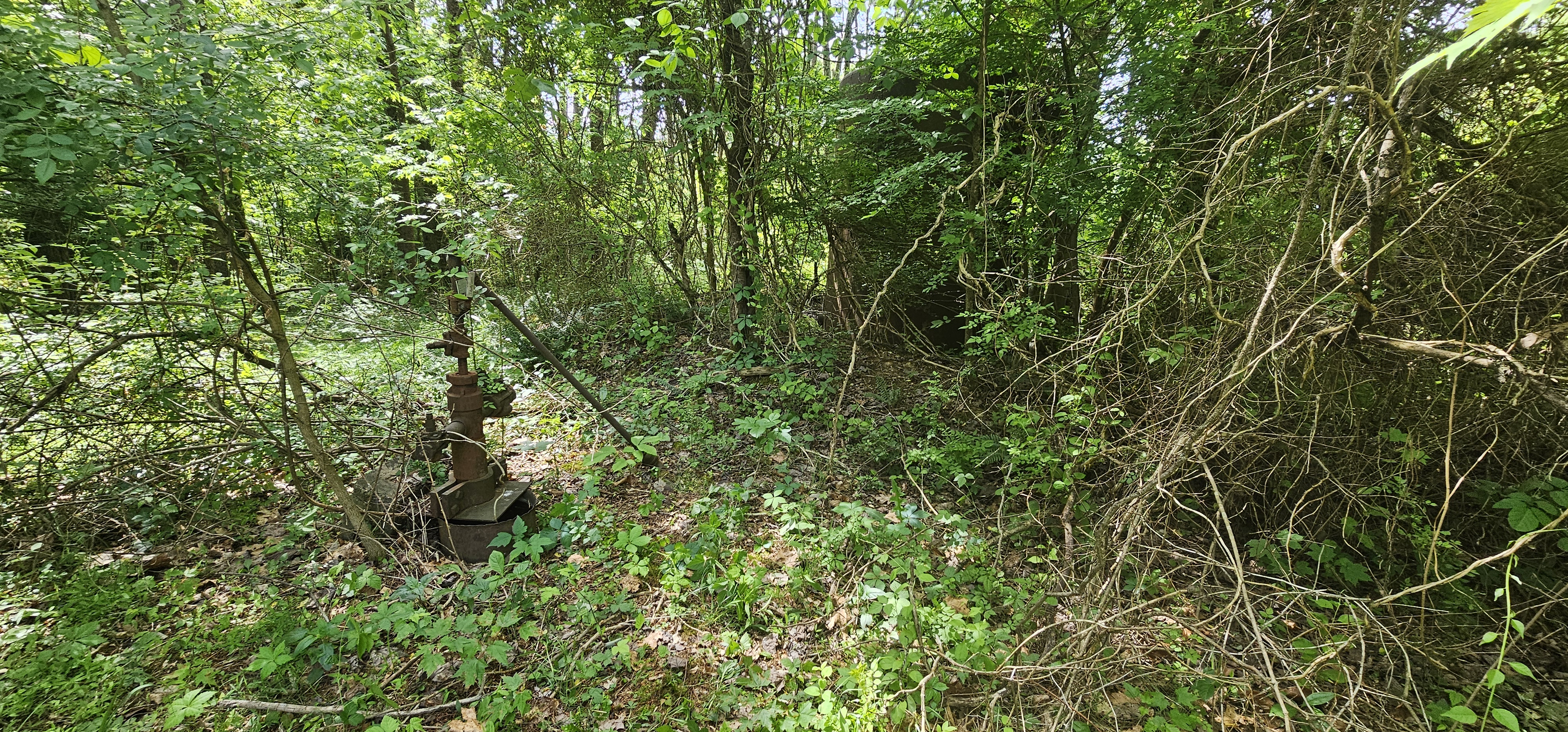 HEINEY ARTHUR D 1 field photo 2