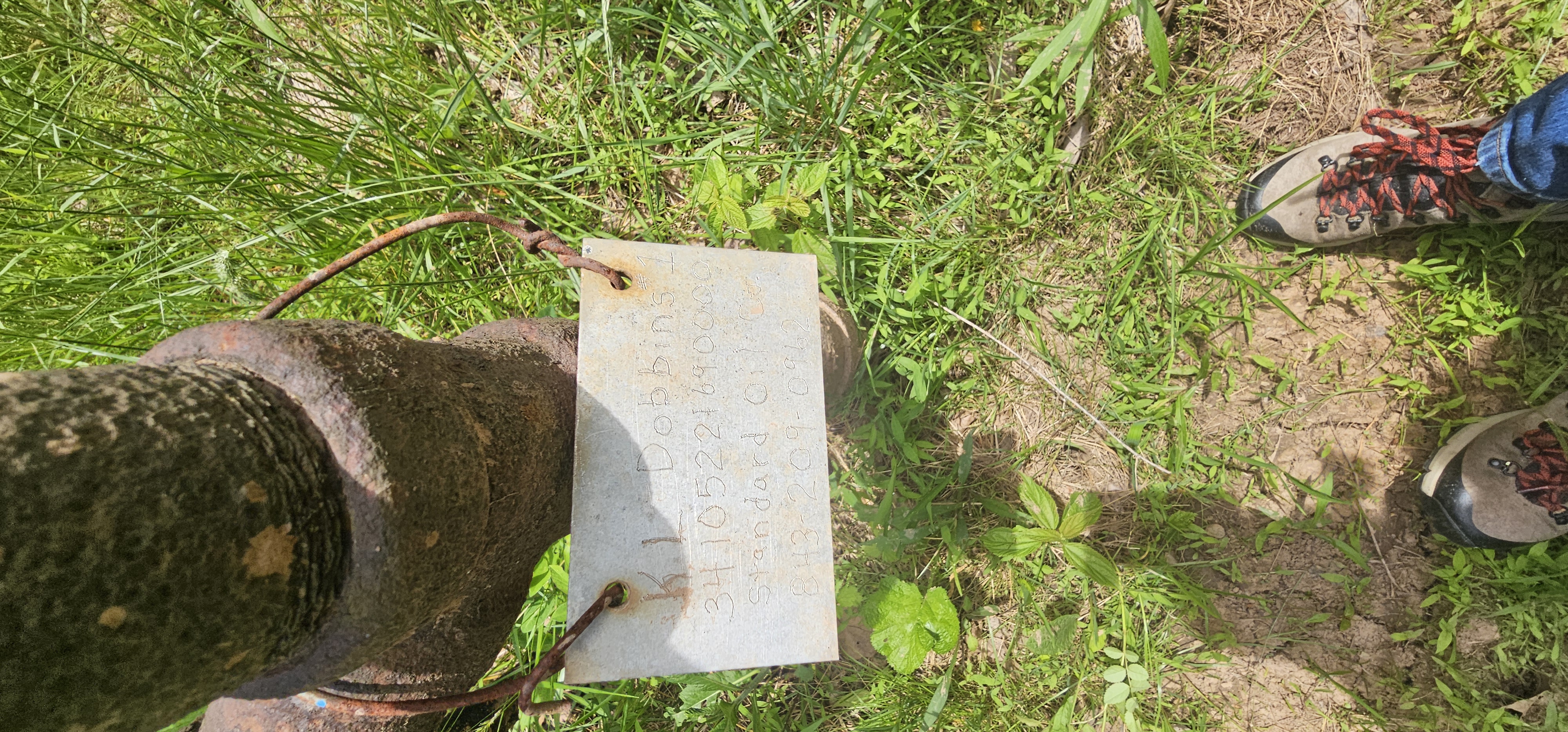 DOBBINS K L 1 field photo 2