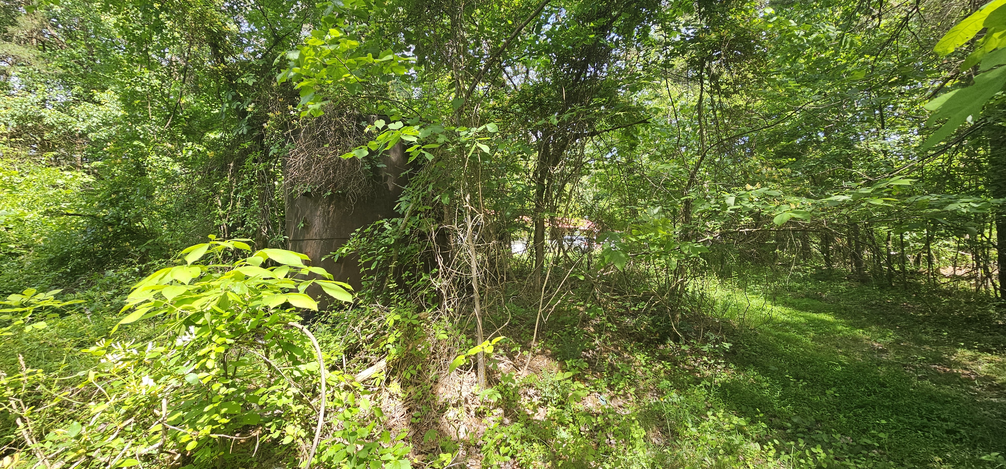 HEINEY ARTHUR D 1 field photo 3
