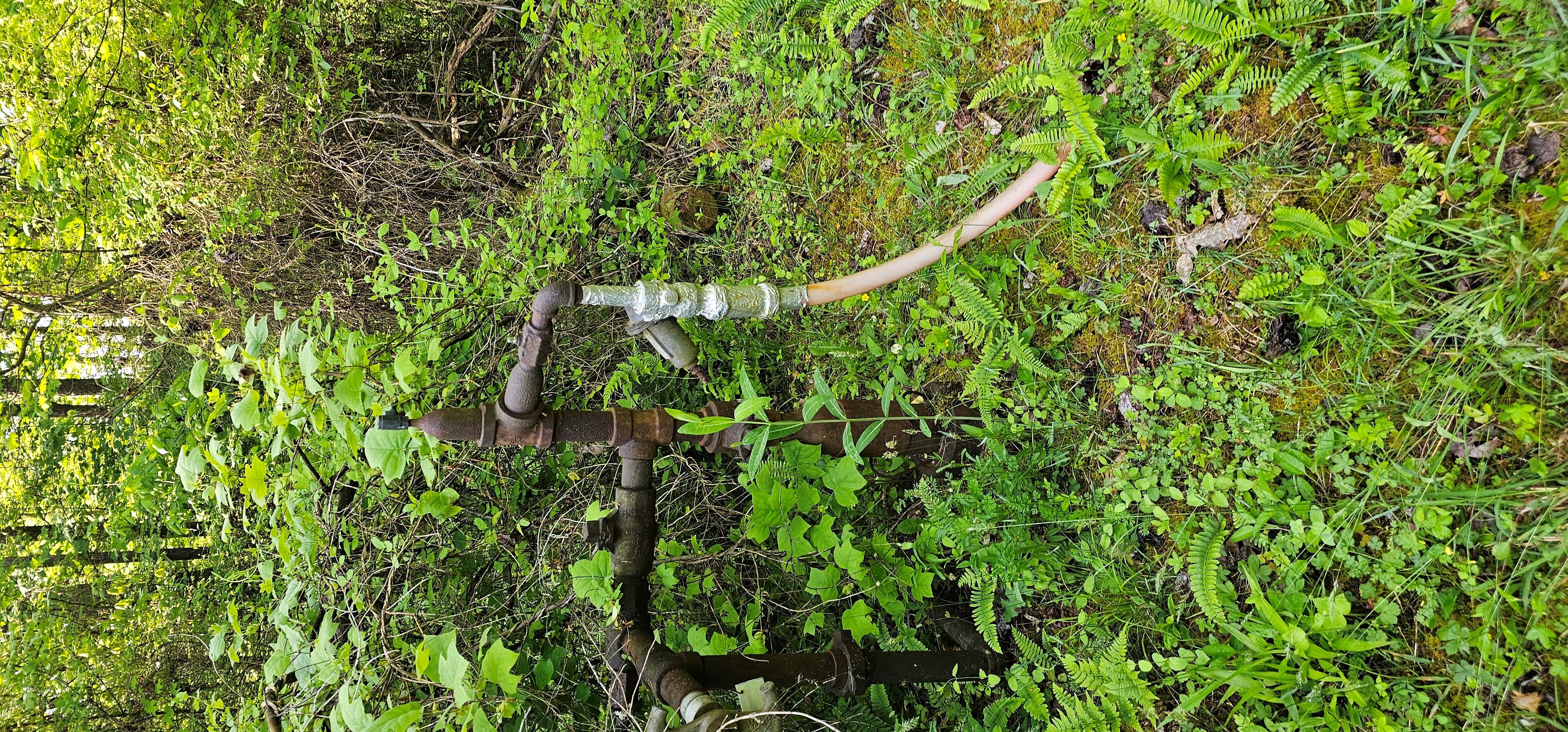 HEINEY A D 1-35 field photo 2