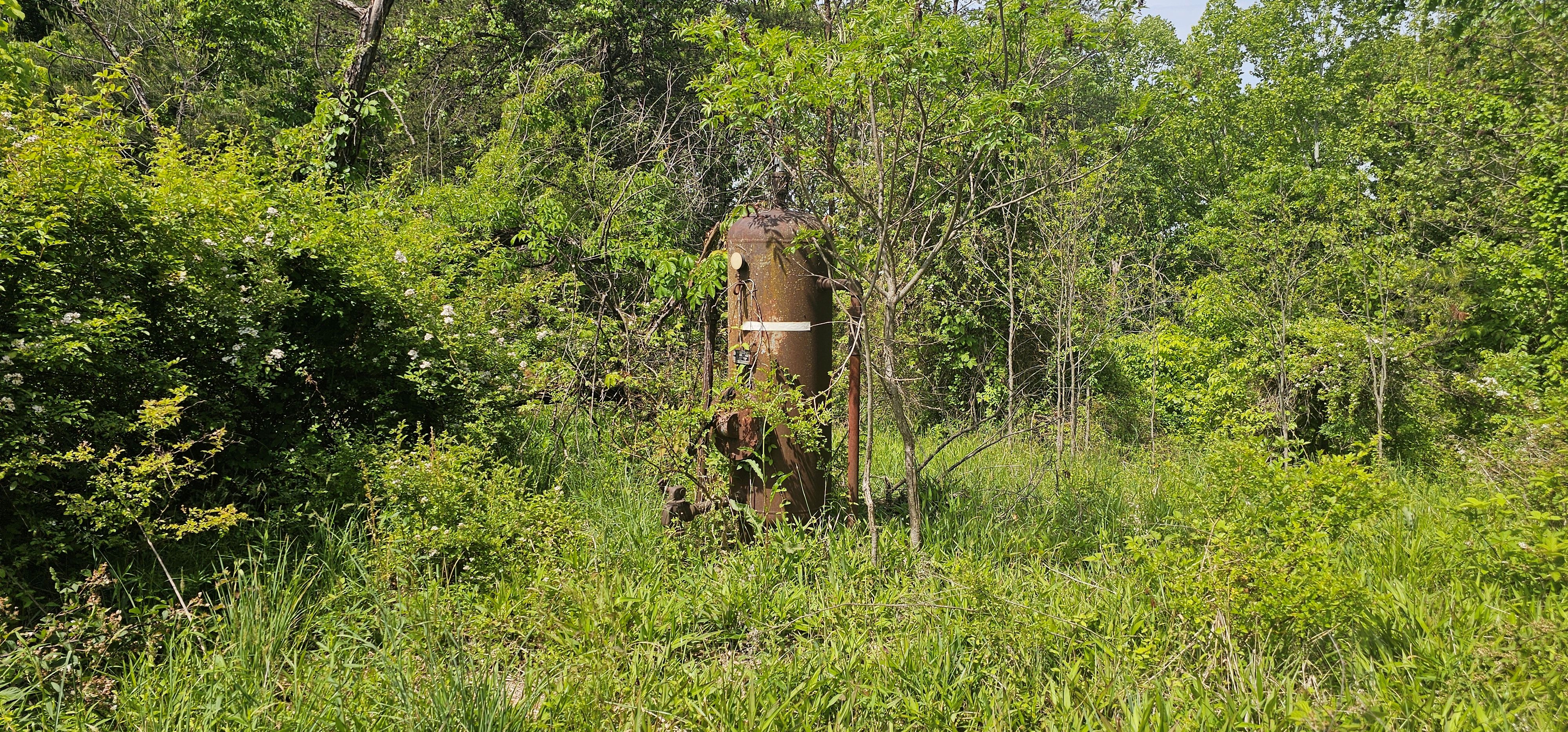 HEINEY ARTHUR D 2-104 2 field photo 2