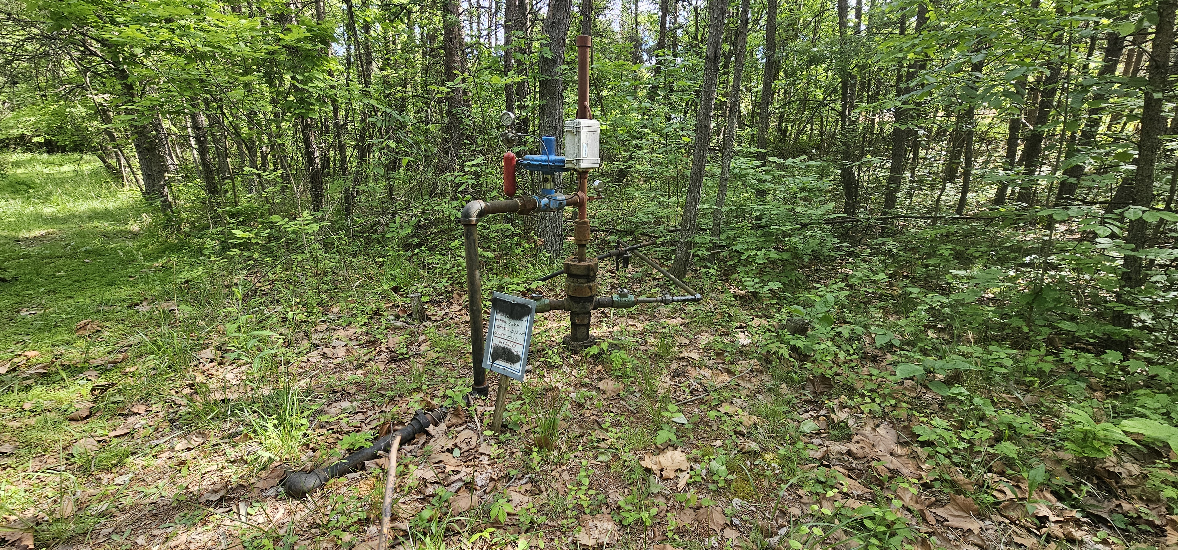 WATKINS T 1 field photo 3