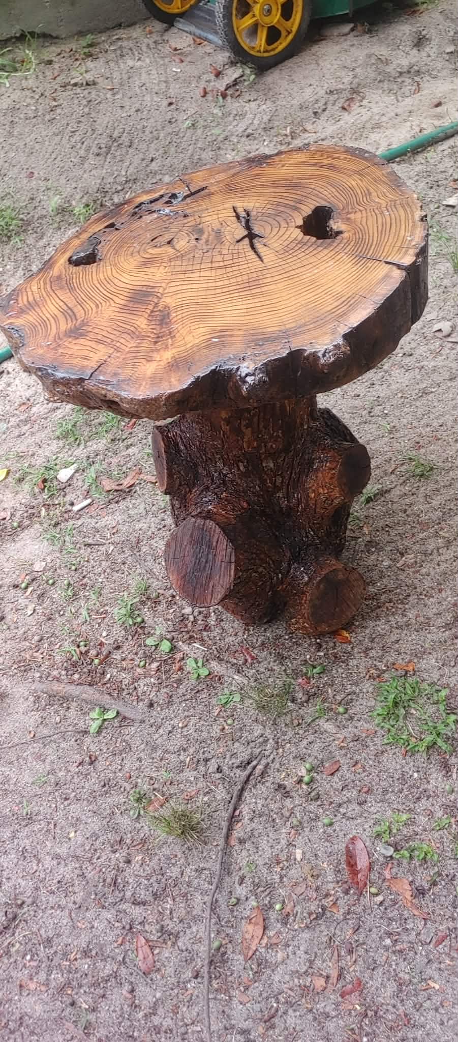 Handcrafted stump table with visible annual grain rings by Parker & Bark, Augusta Georgia
