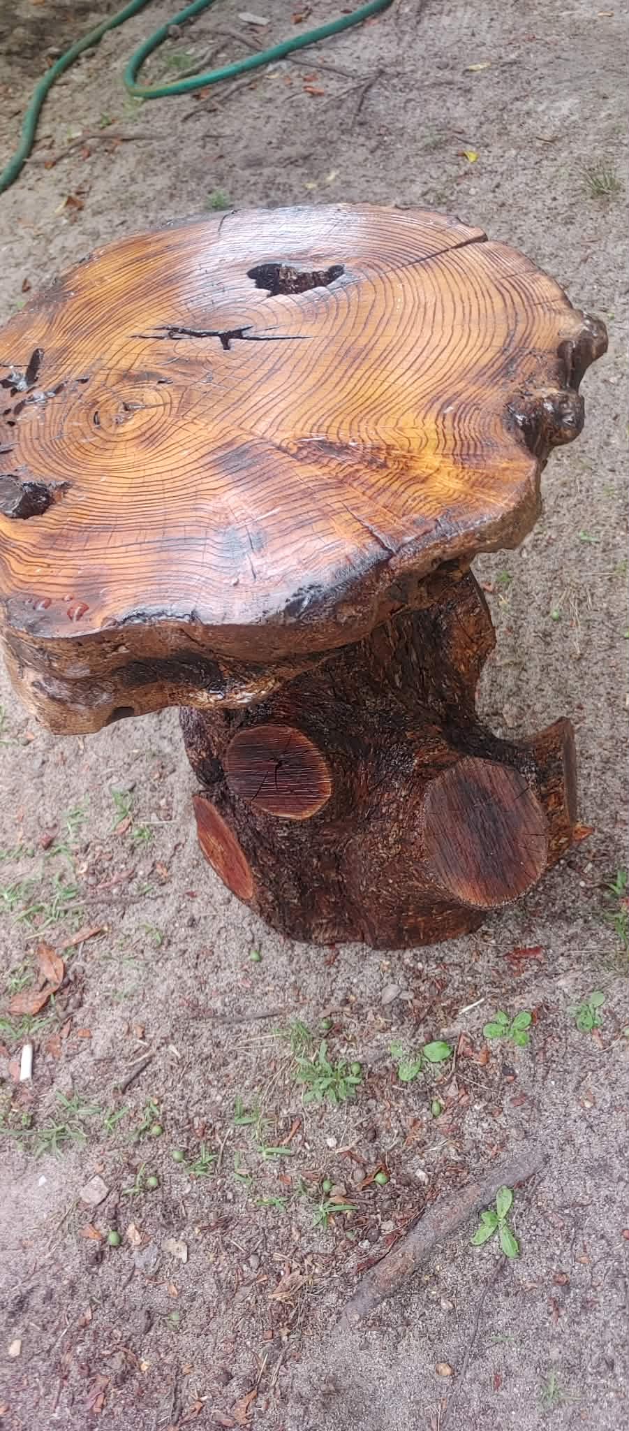 Handcrafted tree stump table by BoughMade