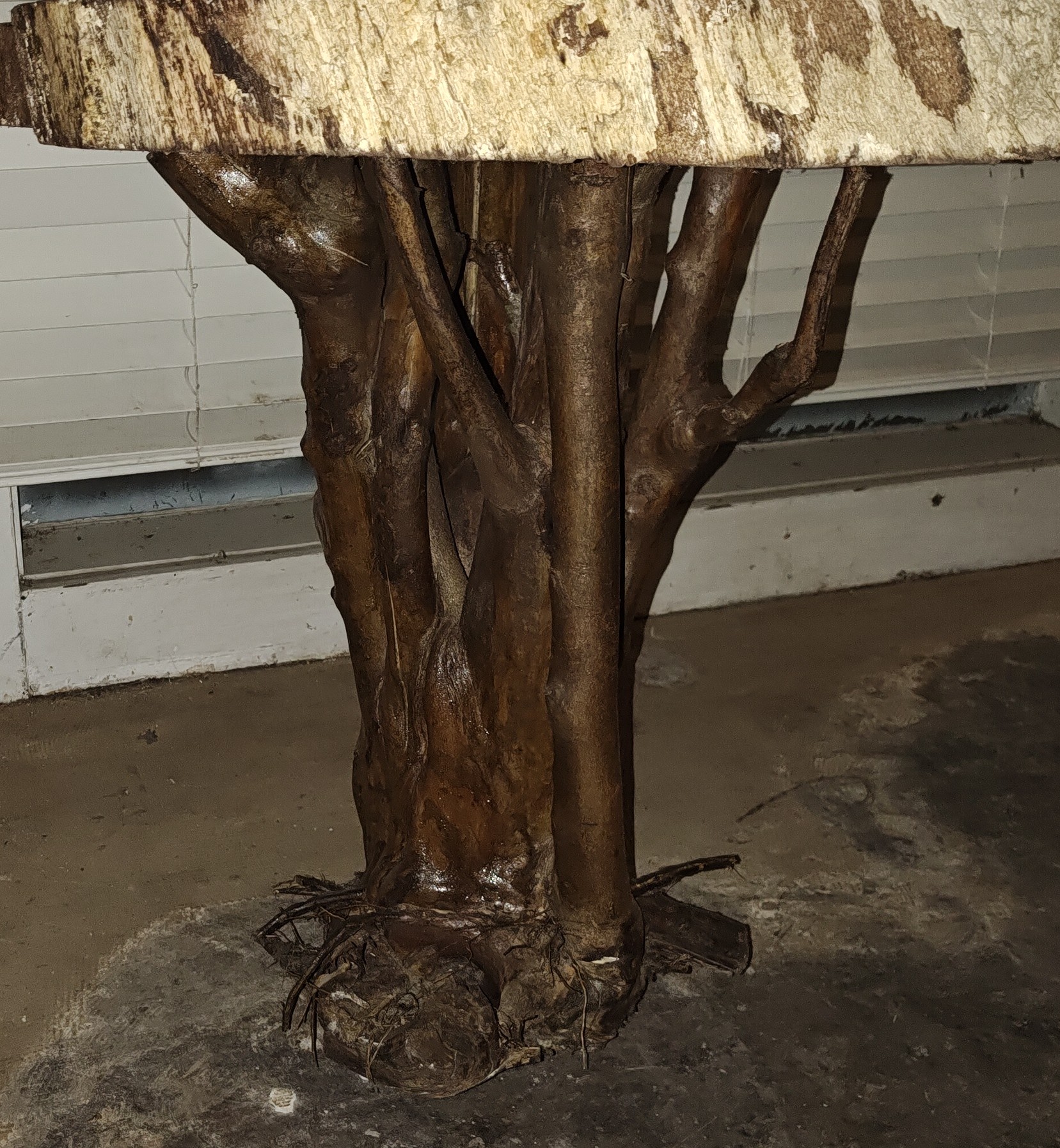 Black walnut hardwood slab from Augusta Georgia forest, Parker and Bark