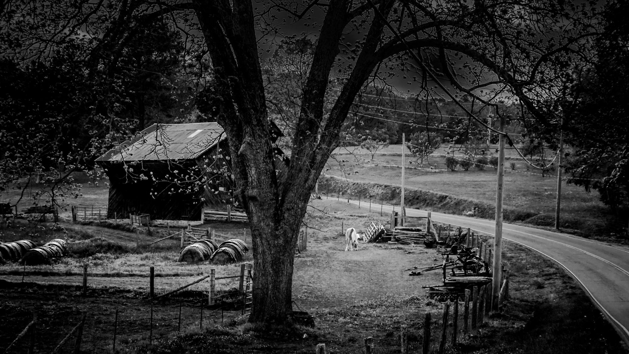 Farmstead with Horse B&W