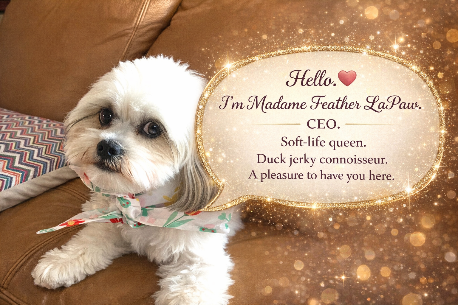 Hello, I'm Madame Feather LaPaw