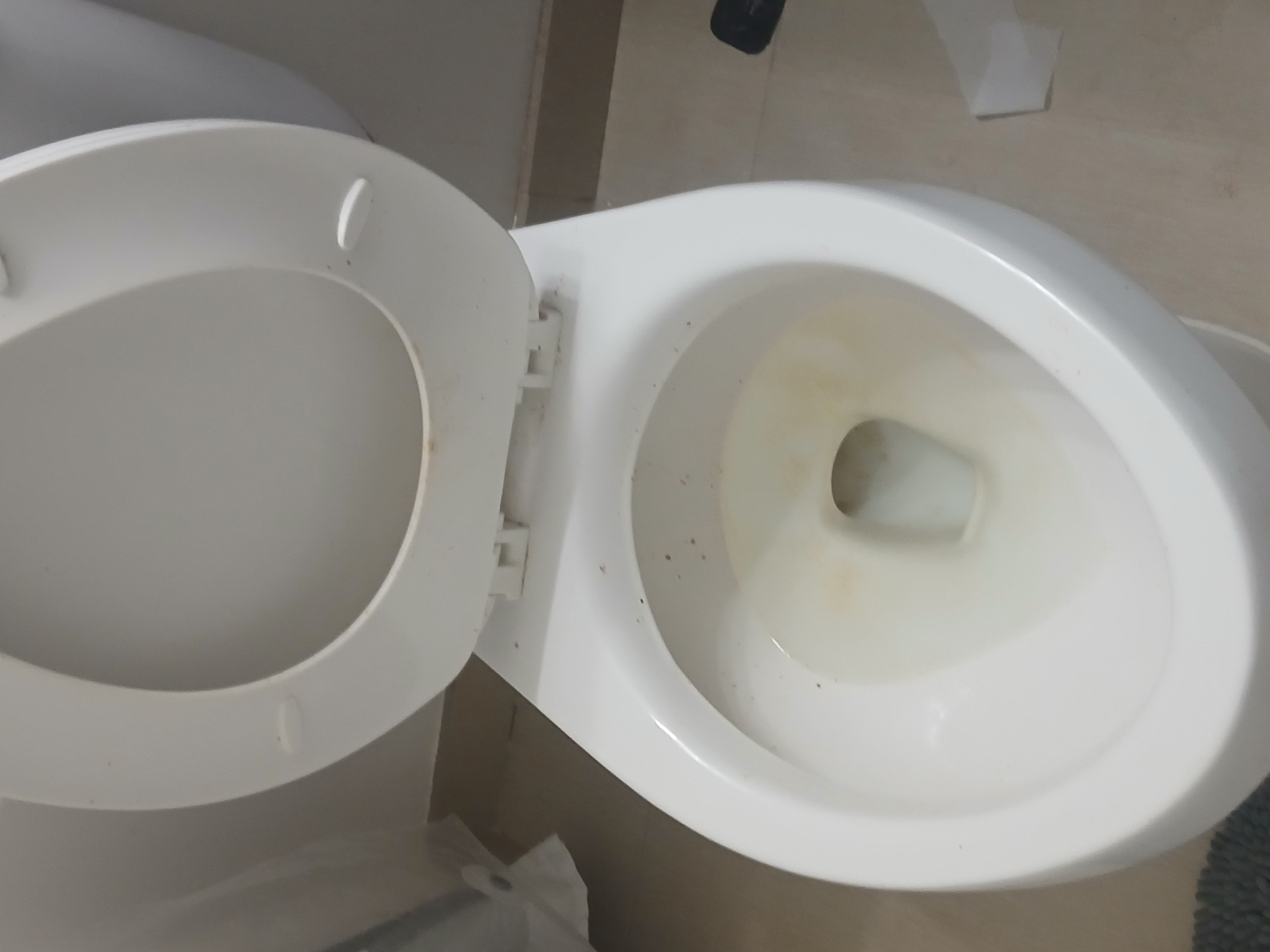 Toilet before — heavy staining, mineral buildup