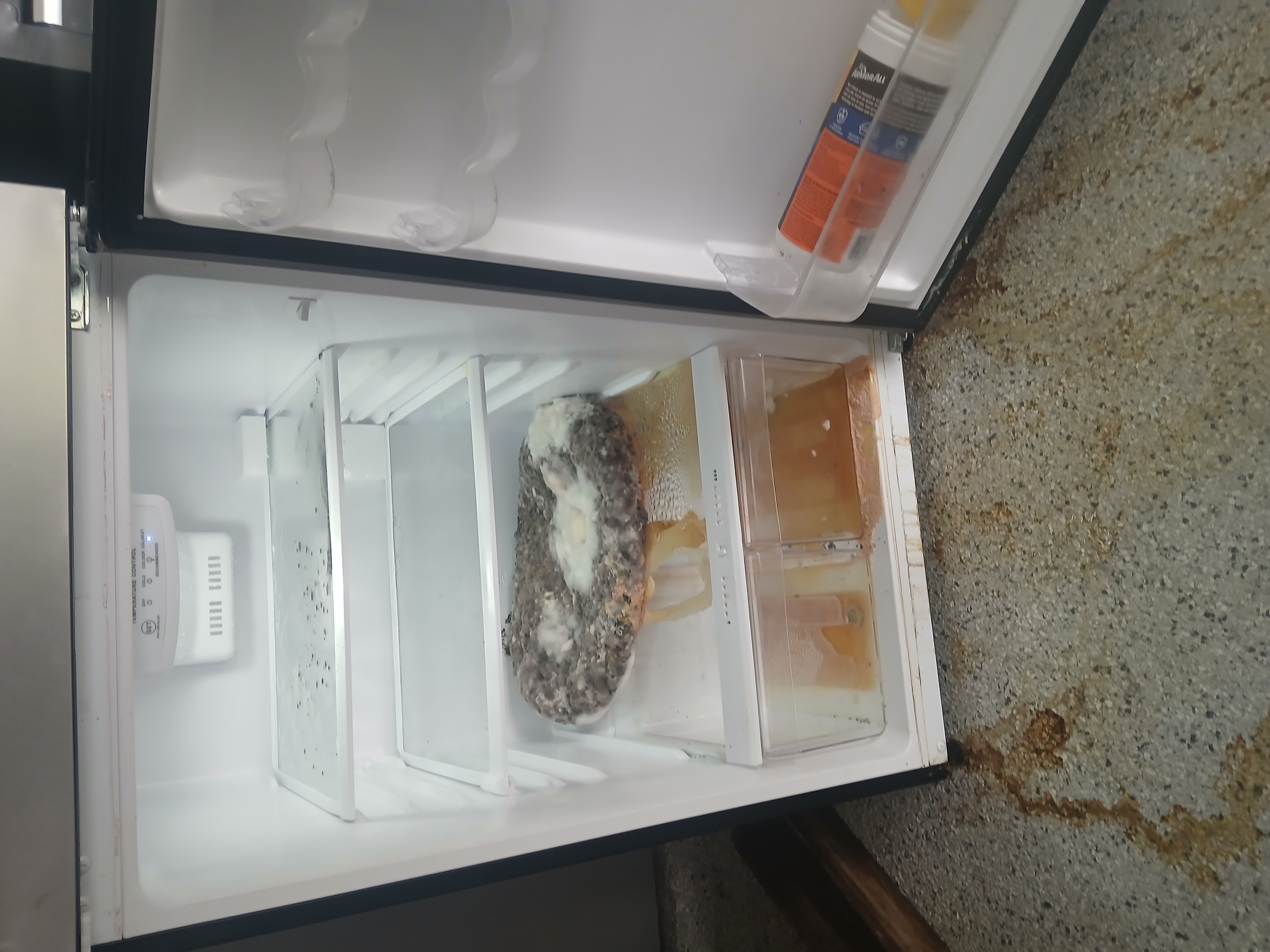 Refrigerator before — mold, brown liquid, black spots