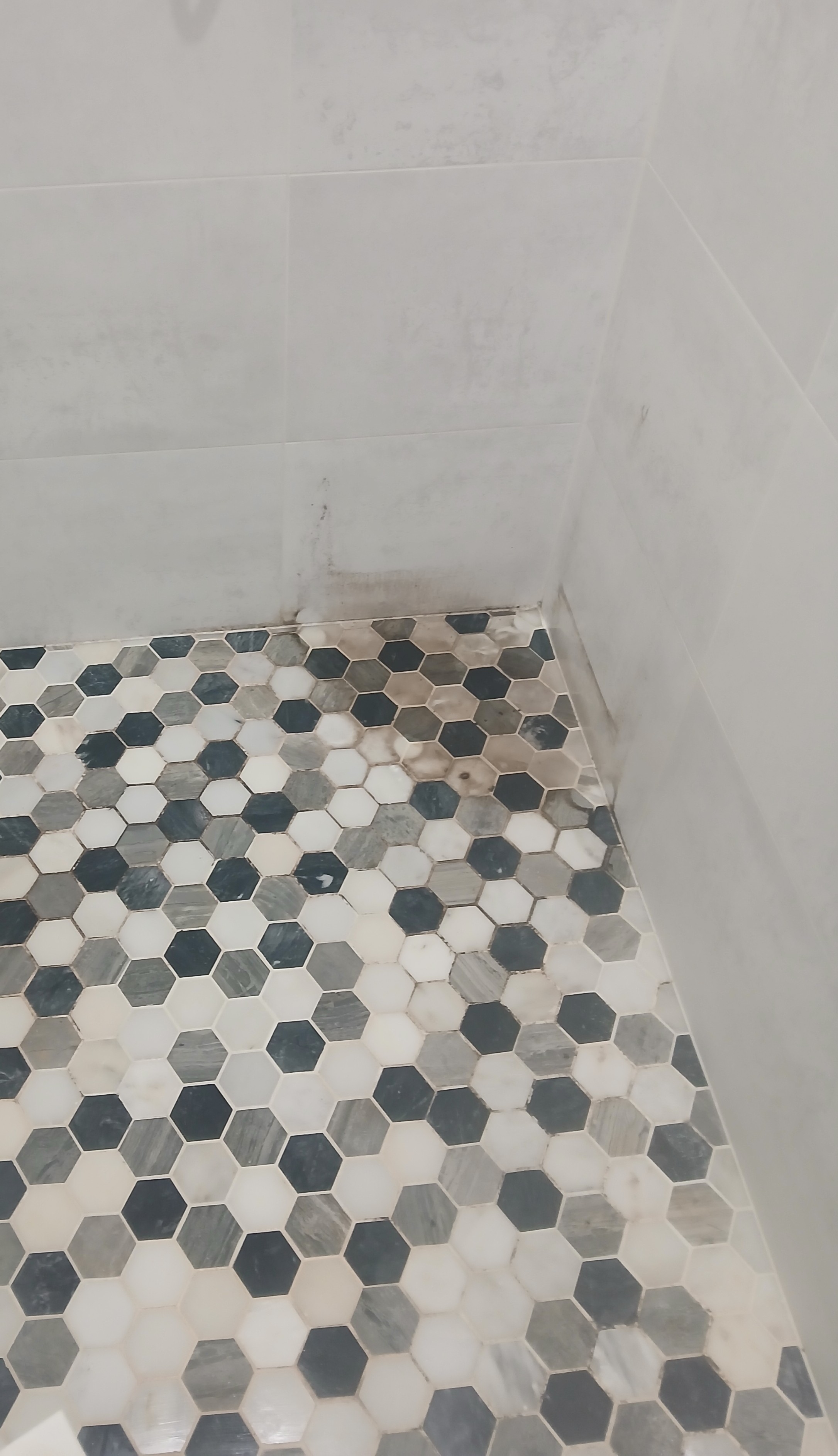 Shower floor before — mold in corners, dirty grout