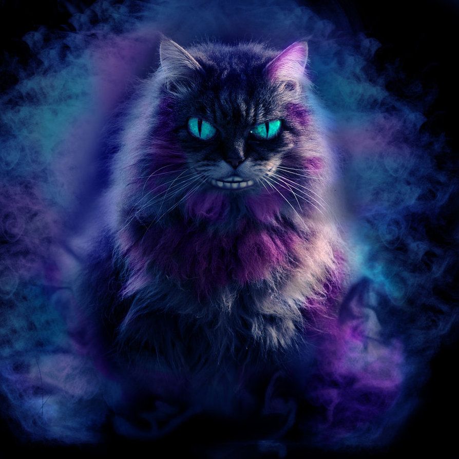 The Cheshire Cat