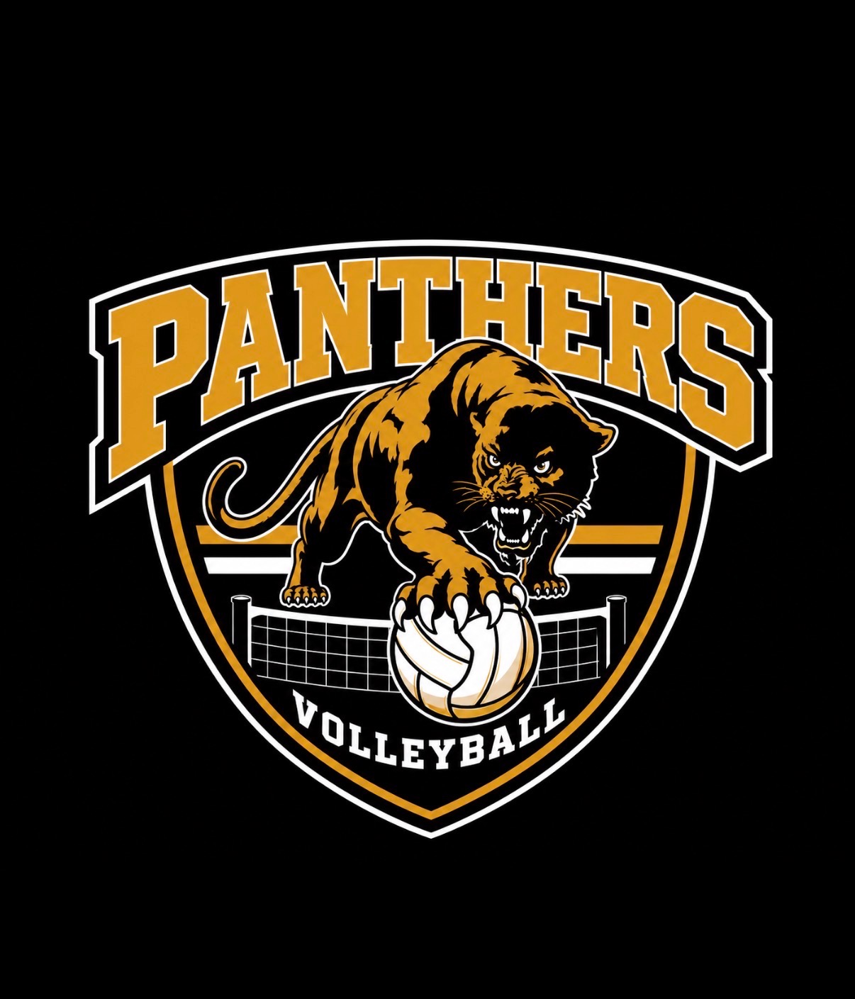 Panthers Volleyball Hoodie