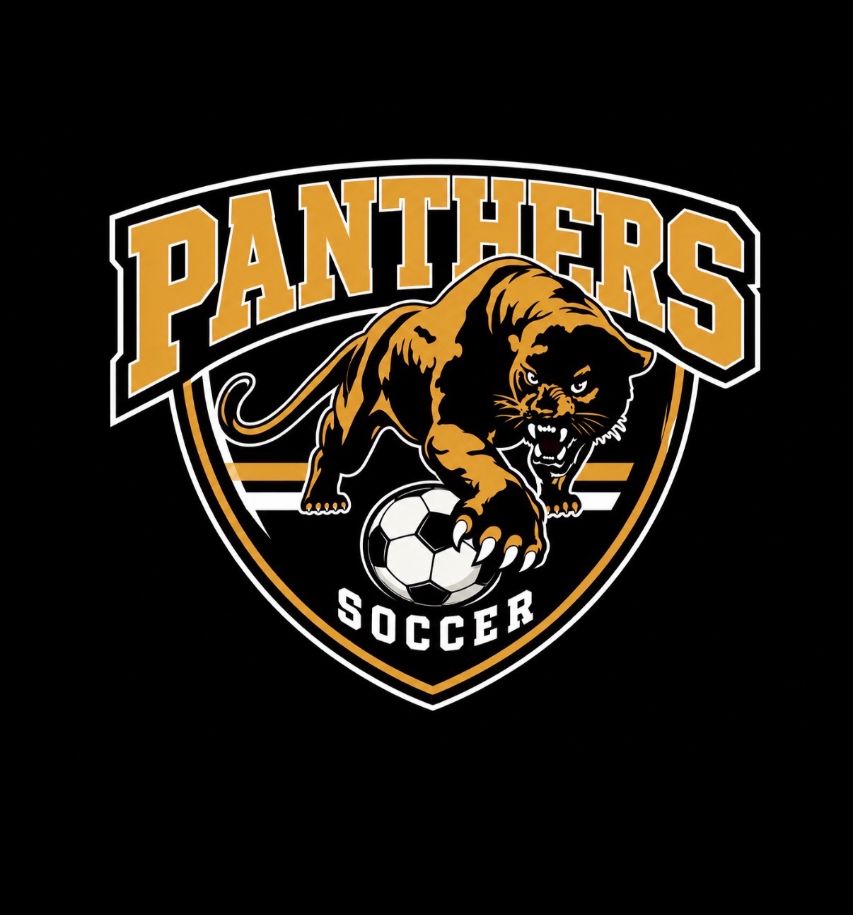 Panthers Soccer Hoodie
