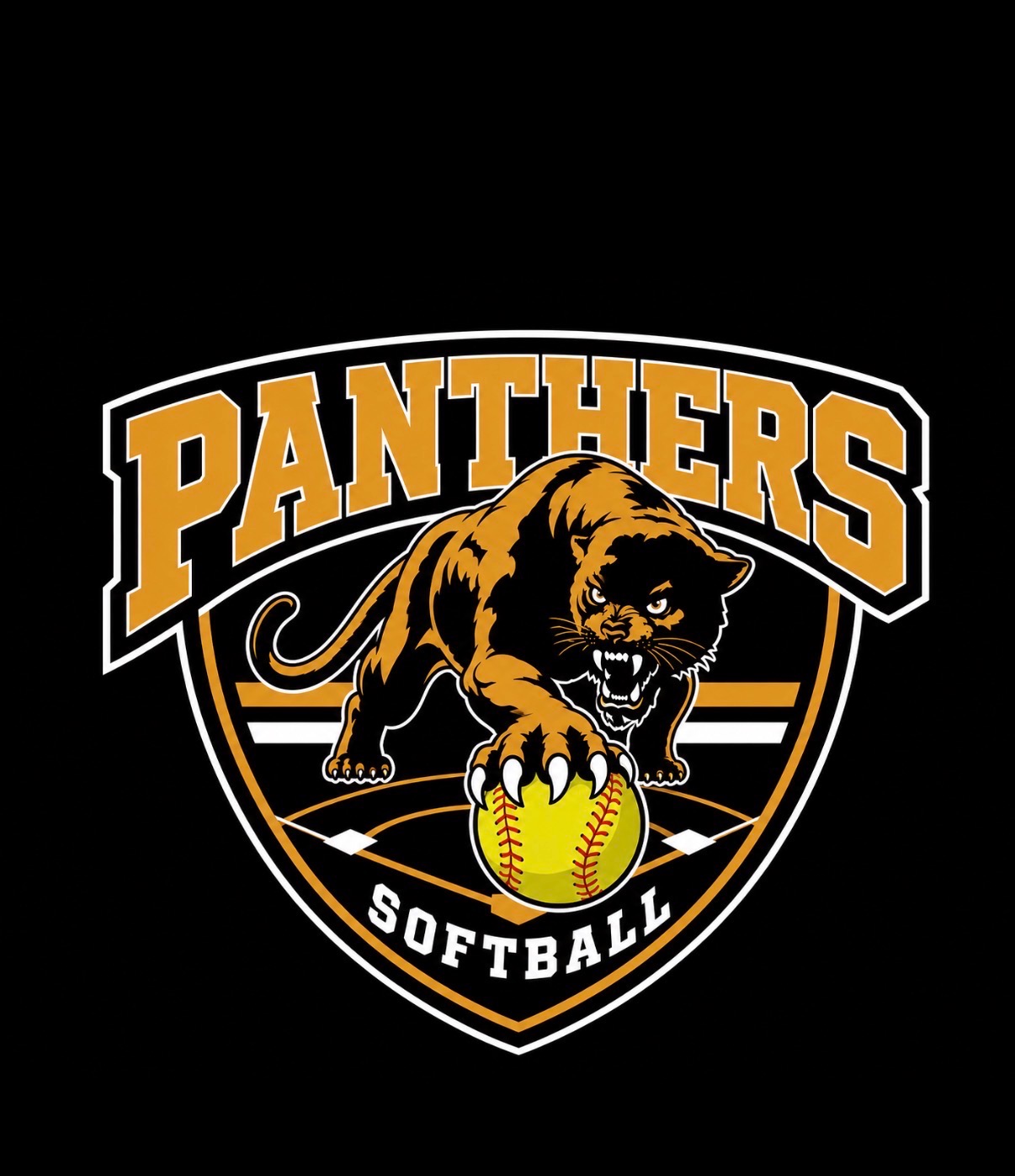 Panthers Softball Hoodie