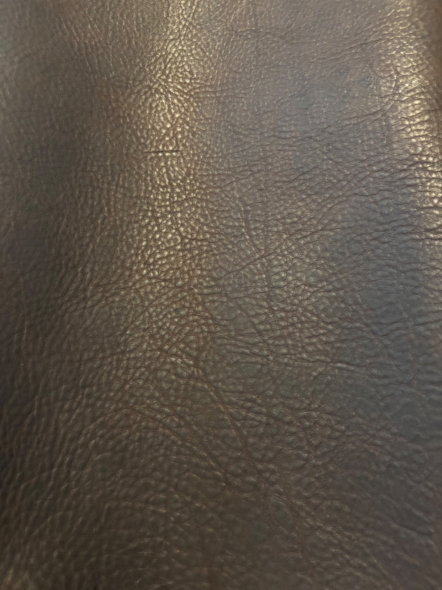 Horween Derby full-grain leather grain texture — the final production leather