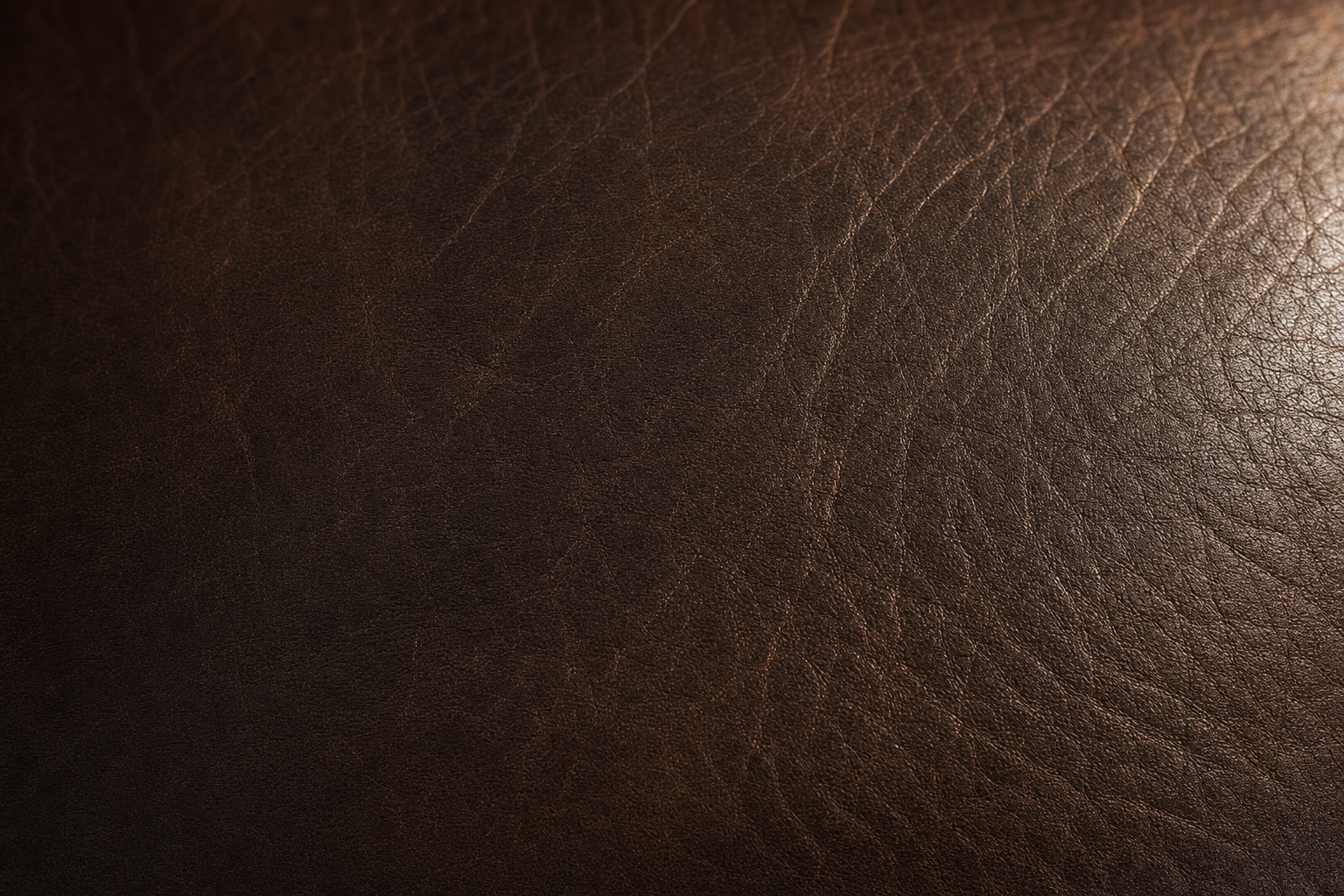 Horween Derby full-grain leather grain — close-up of leather surface character