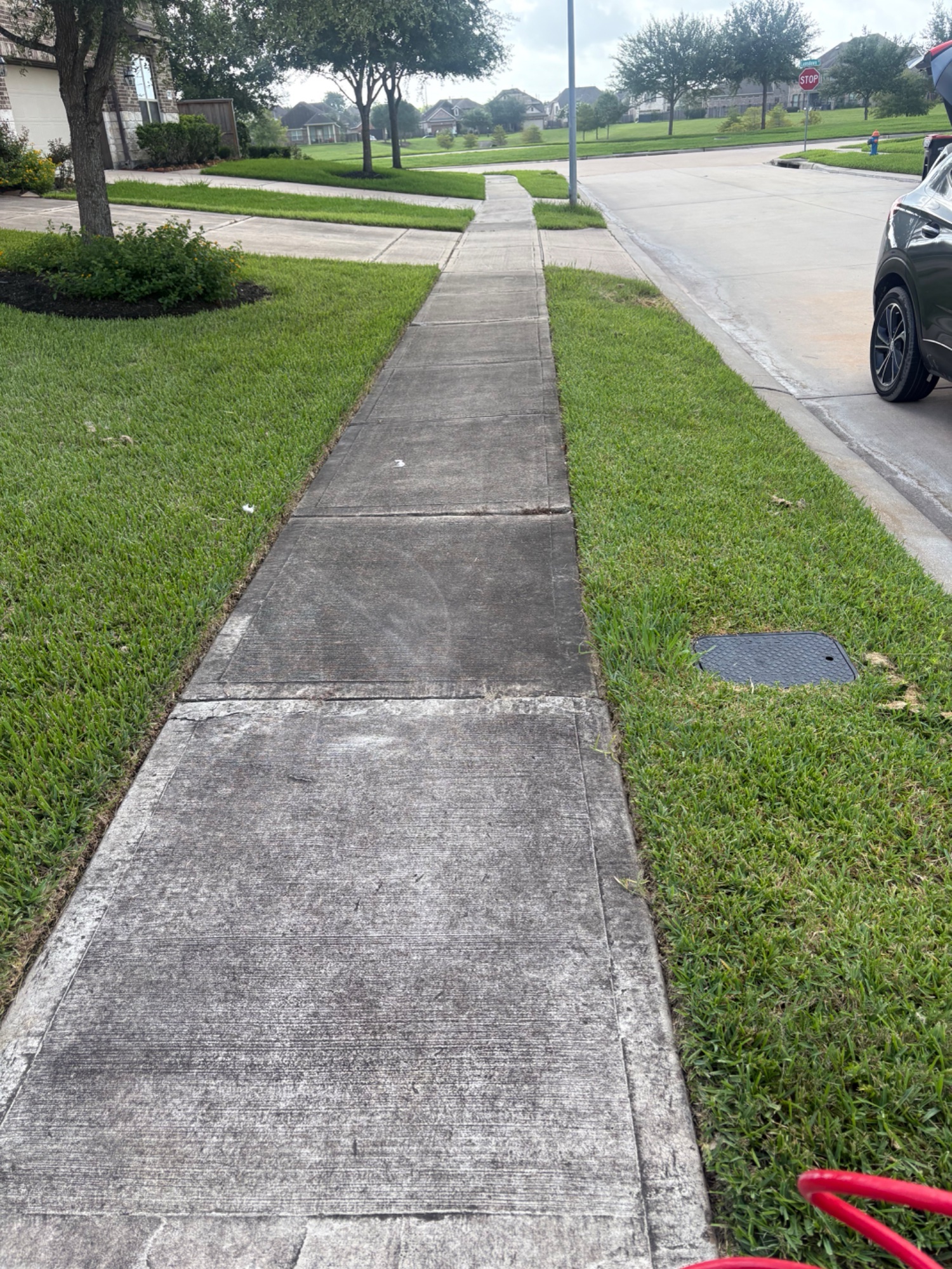 Sidewalk before pressure washing — dirty, algae-covered walkway