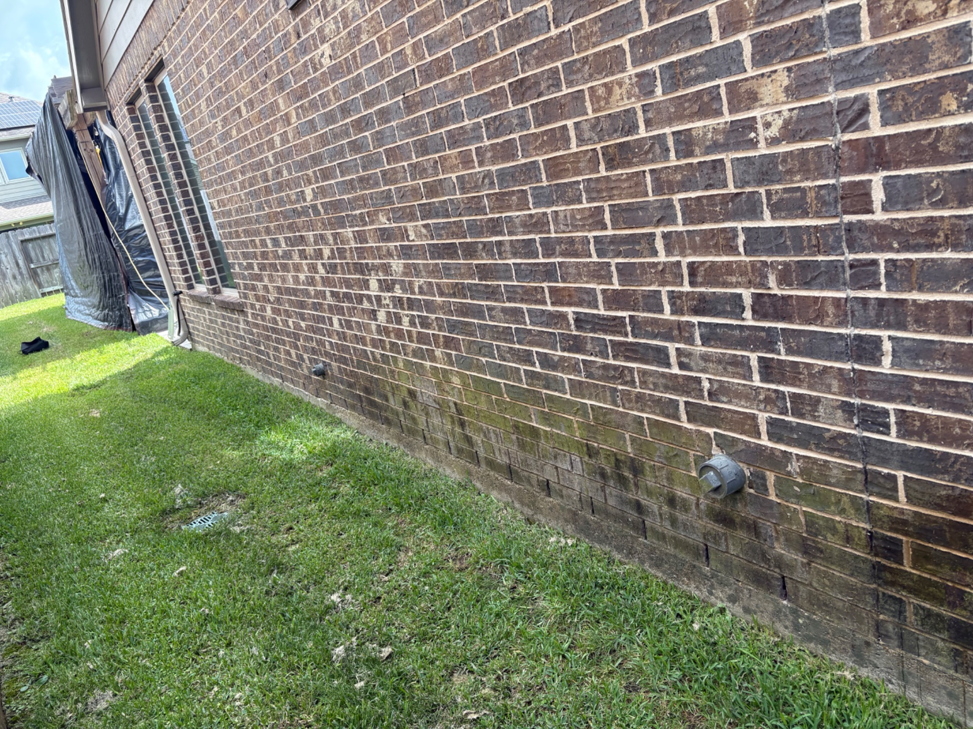 Brick wall with heavy green algae buildup — before pressure washing