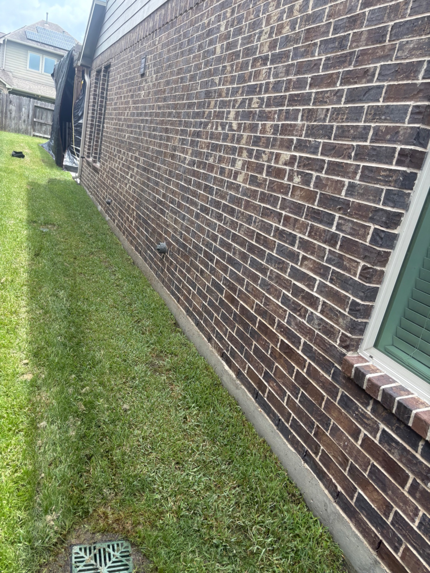 Brick home side angle before washing — weathered, stained brick surface with algae