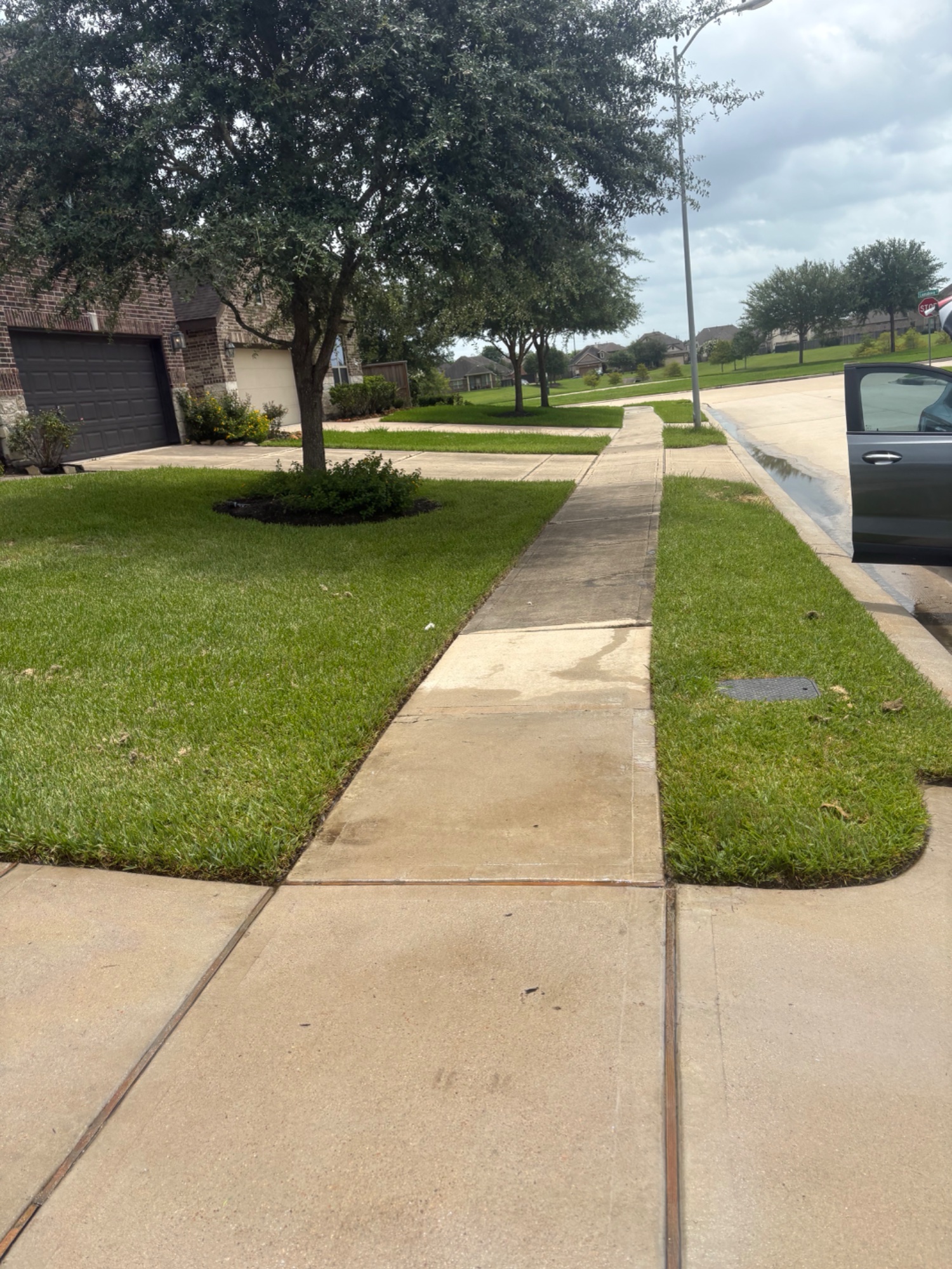 Sidewalk after pressure washing — clean, safe walkway