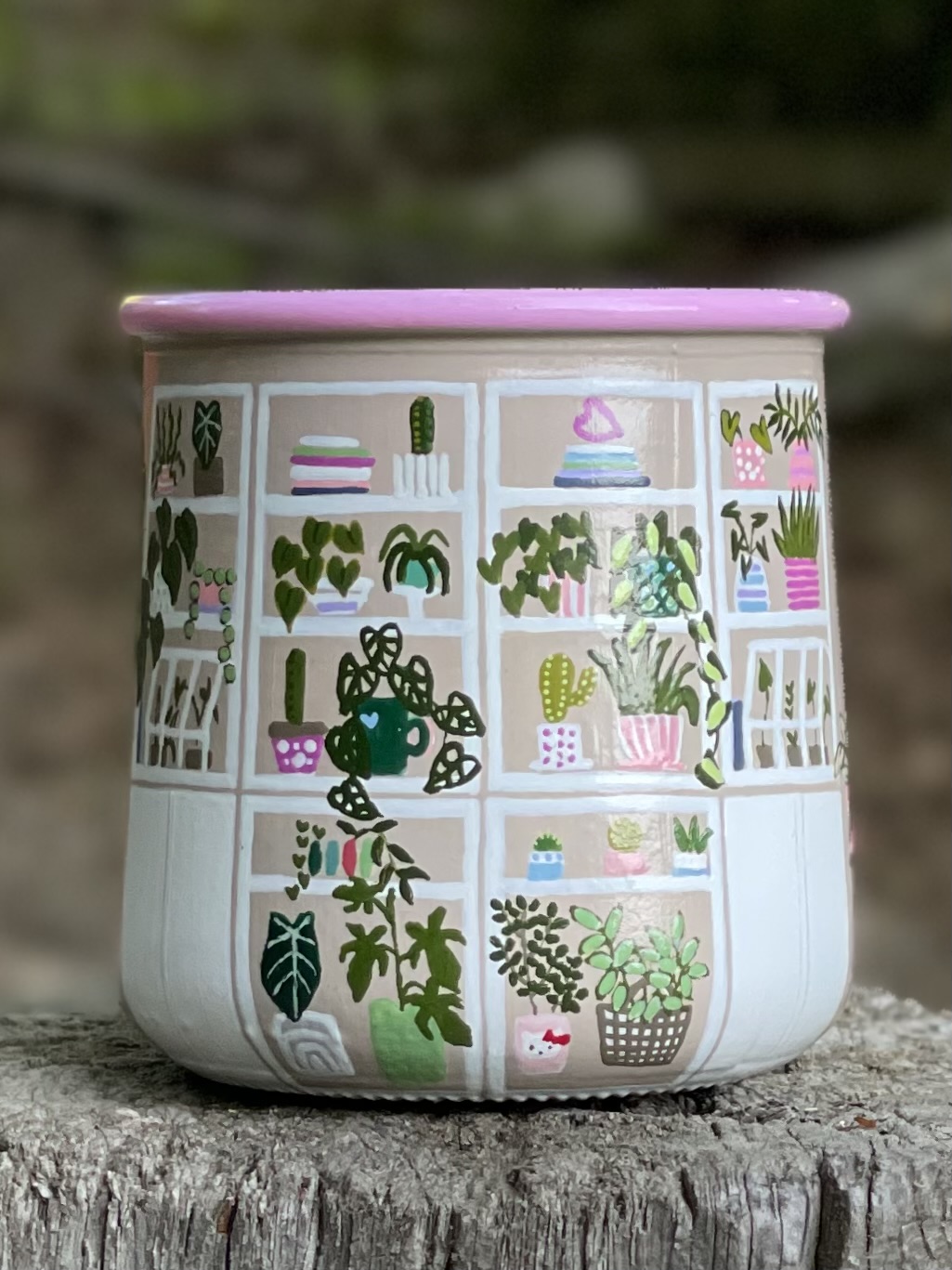 Plant shelf pot with pink rim