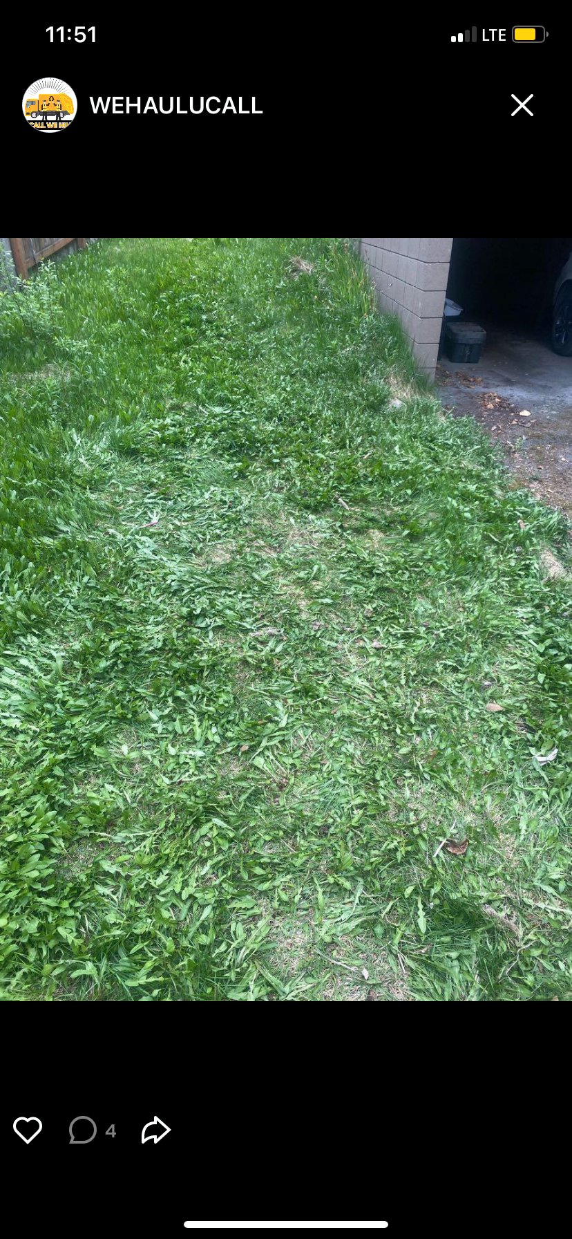 After — Clean grass, everything hauled away