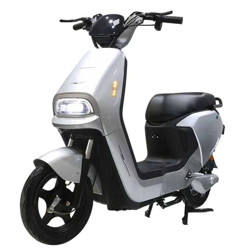 800W/1000W Electric Scooter Low Maintenance - Longue portée LED, usage quotidien