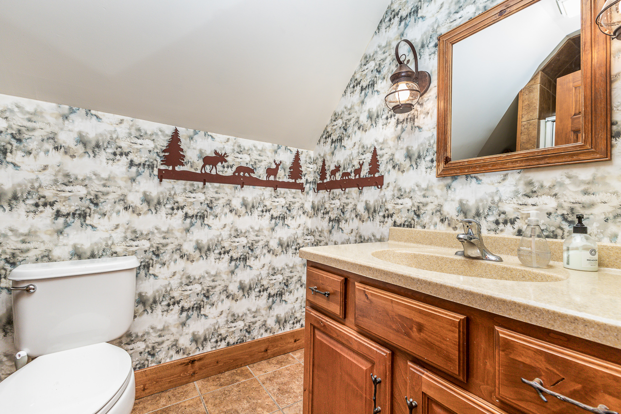 Bathroom with wilderness wallpaper, rustic lantern light, and wood vanity