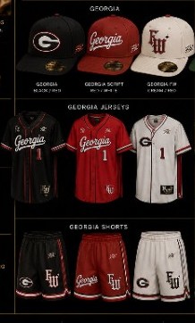 Fli World Georgia Outfit Bundle