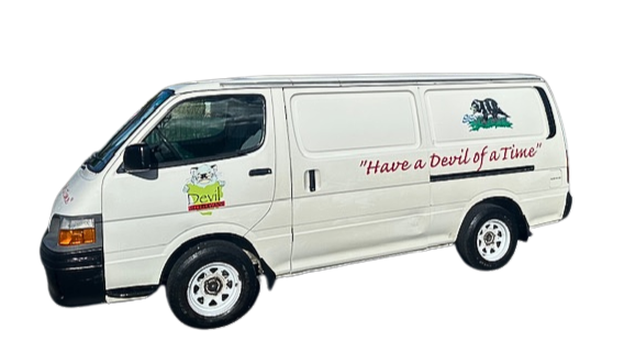 Devil Sleepervan 2 Berth campervan