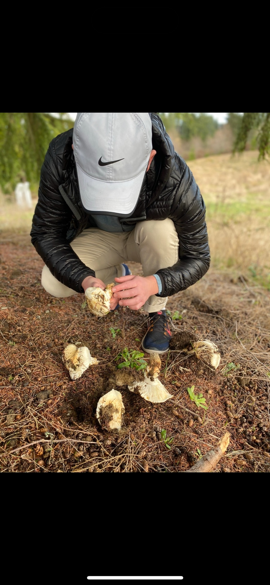 Chef Ryan McLaughlin foraging in Ojai — personal chef California