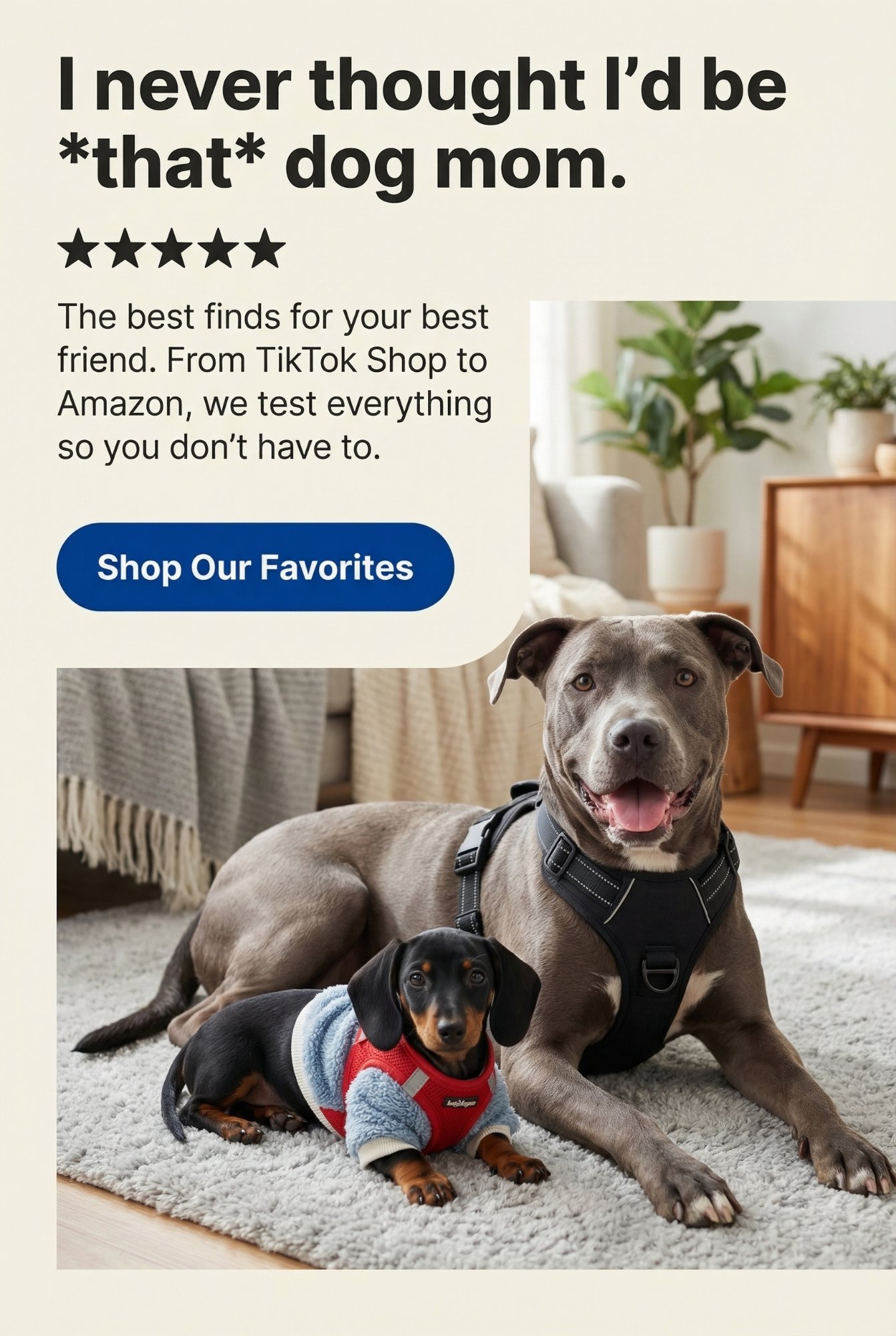 Jennie the dachshund and Baxley the pit bull — the real product testers