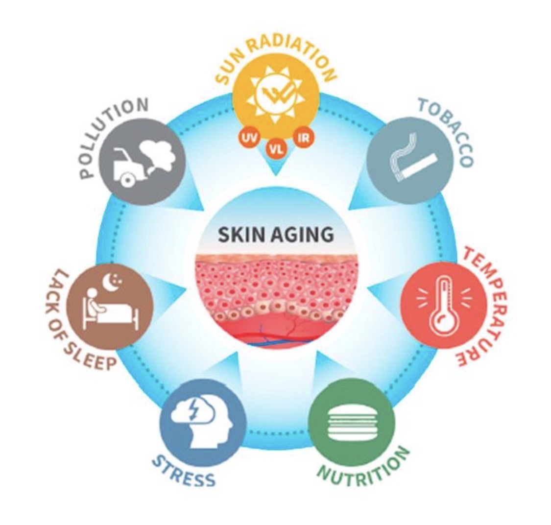 Skinlycious chemical vs mineral sunscreen difference