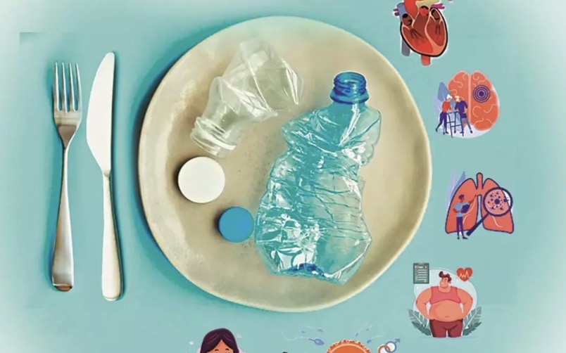Five Ways to Reduce Microplastics in Your Food
