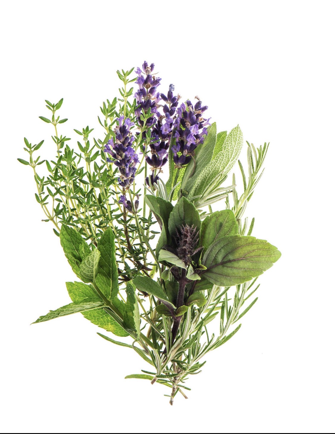 Reading ingredient labels on food products for lavender and artificial flavors