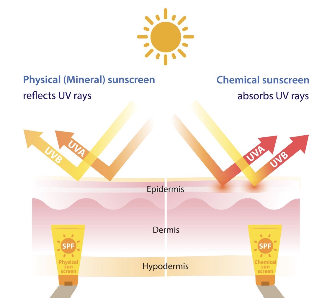 Physical vs chemical sunscreen UV ray diagram