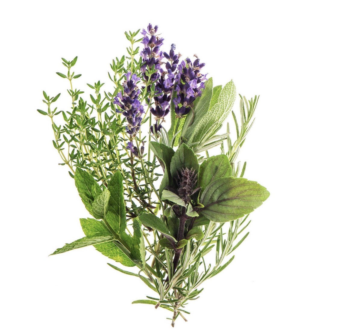 Lavender Is Everywhere Right Now — But Is It Actually Safe?