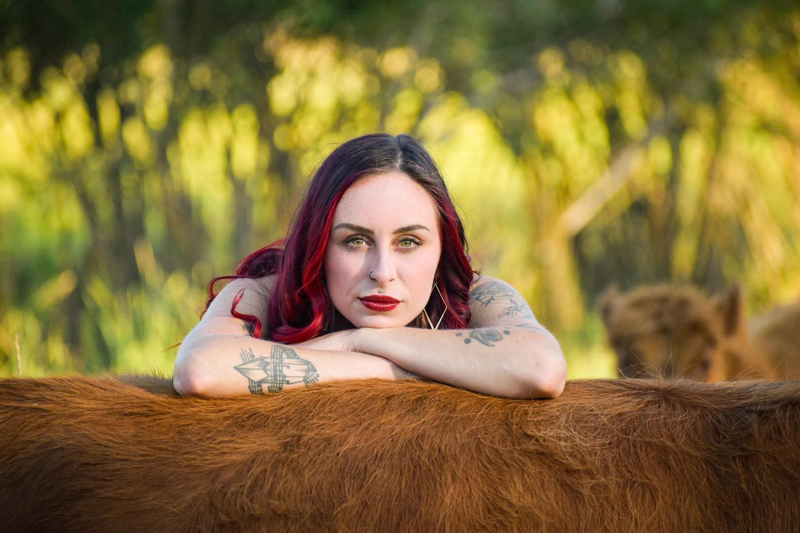A subject backlit by the sunset standing in tall pasture grass at the Moolady paddock in Clinton, Montana — close vertical frame.