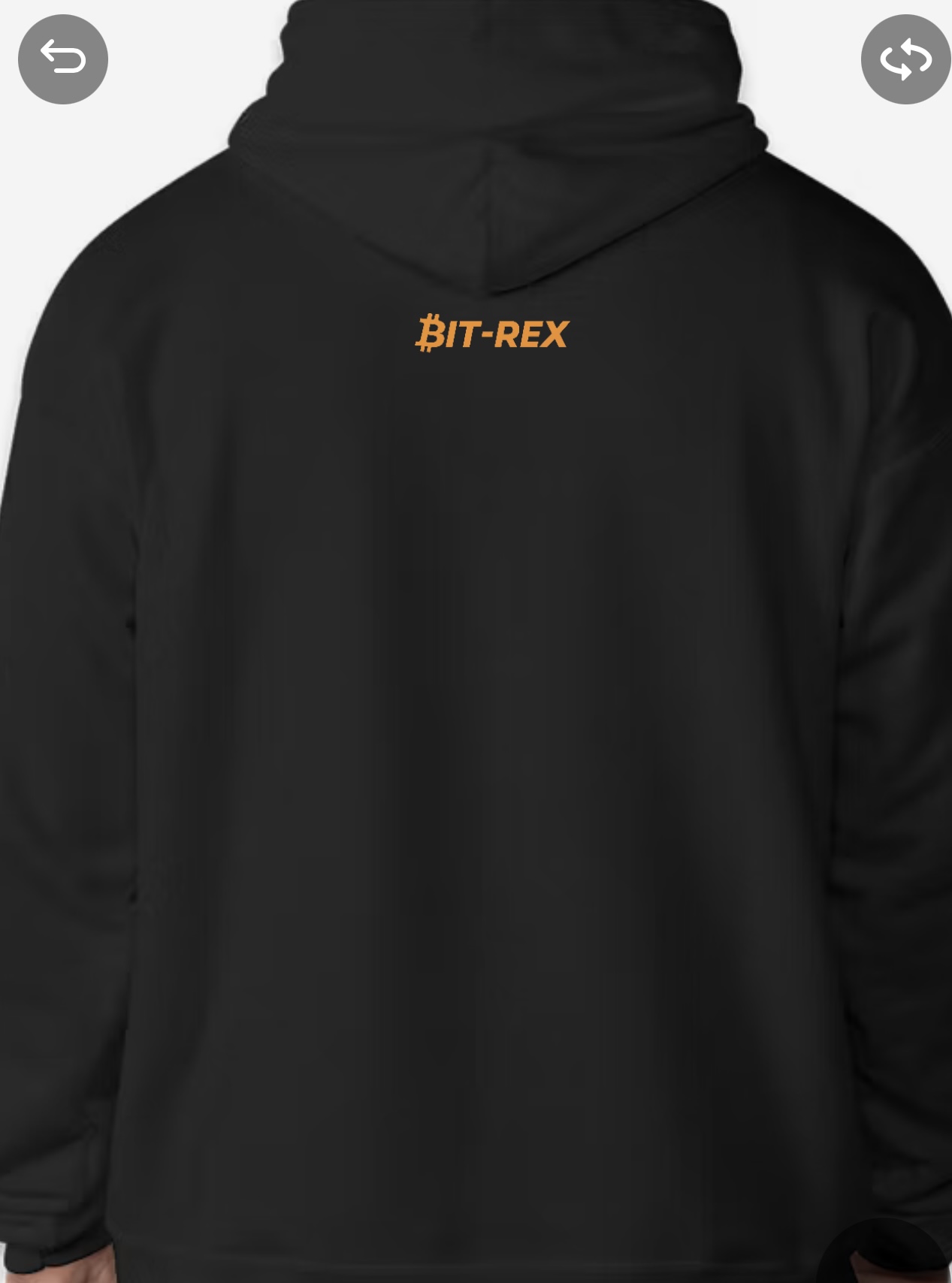 Hoodie — Back view