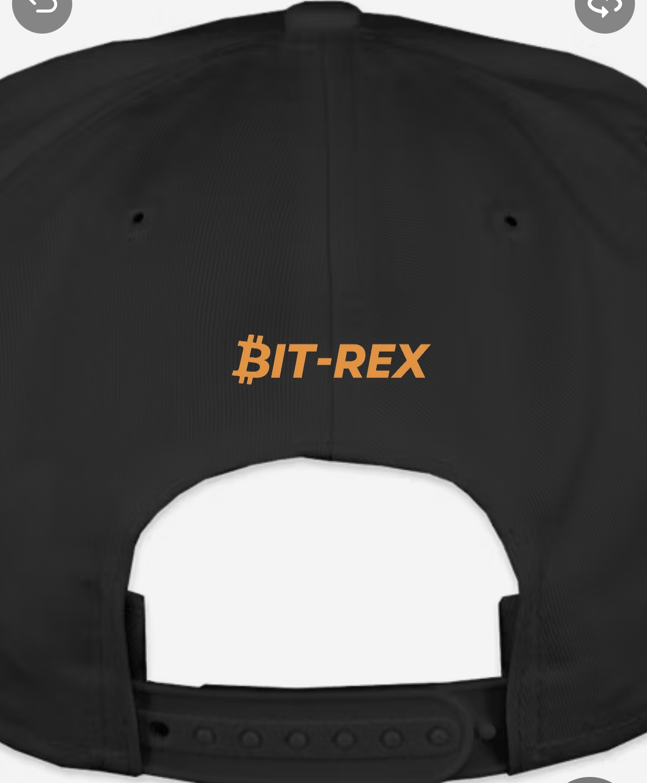 Cap — Back view