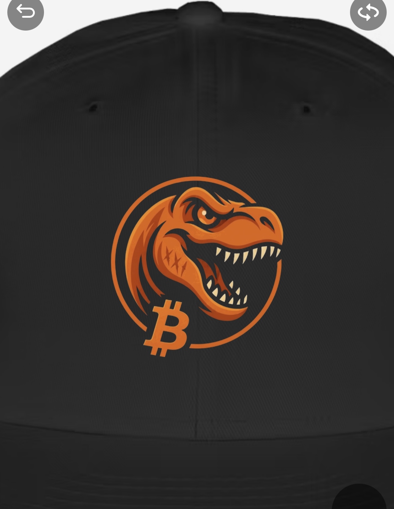 Cap — Front view