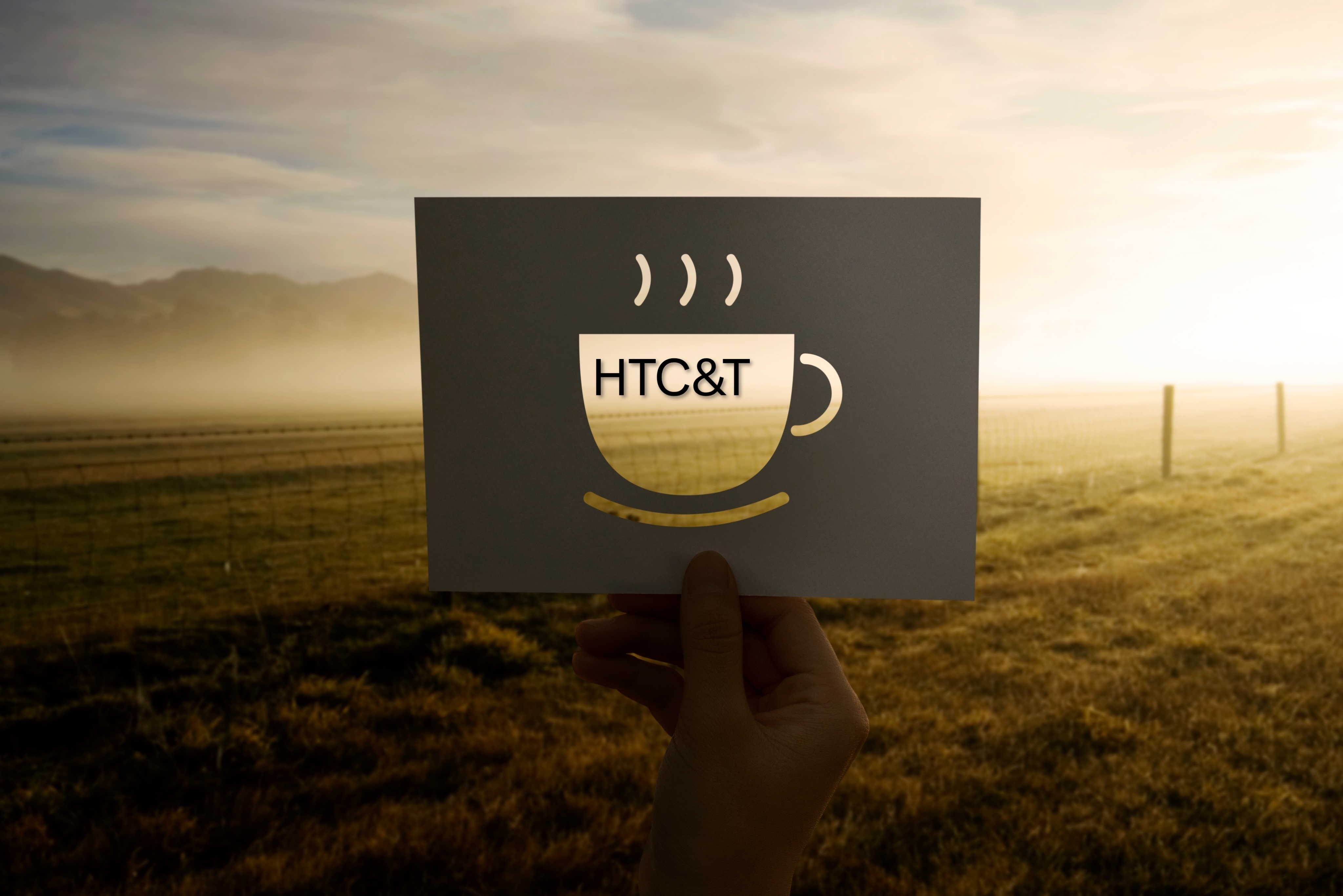 HTC&T cup at sunrise