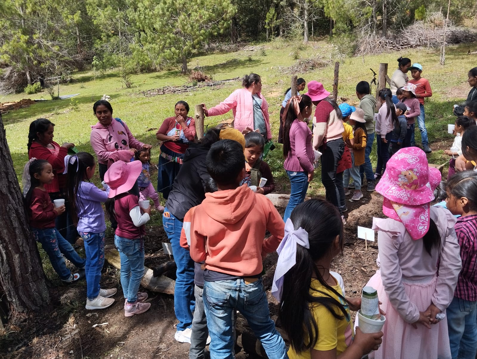 Community garden event with many children participating