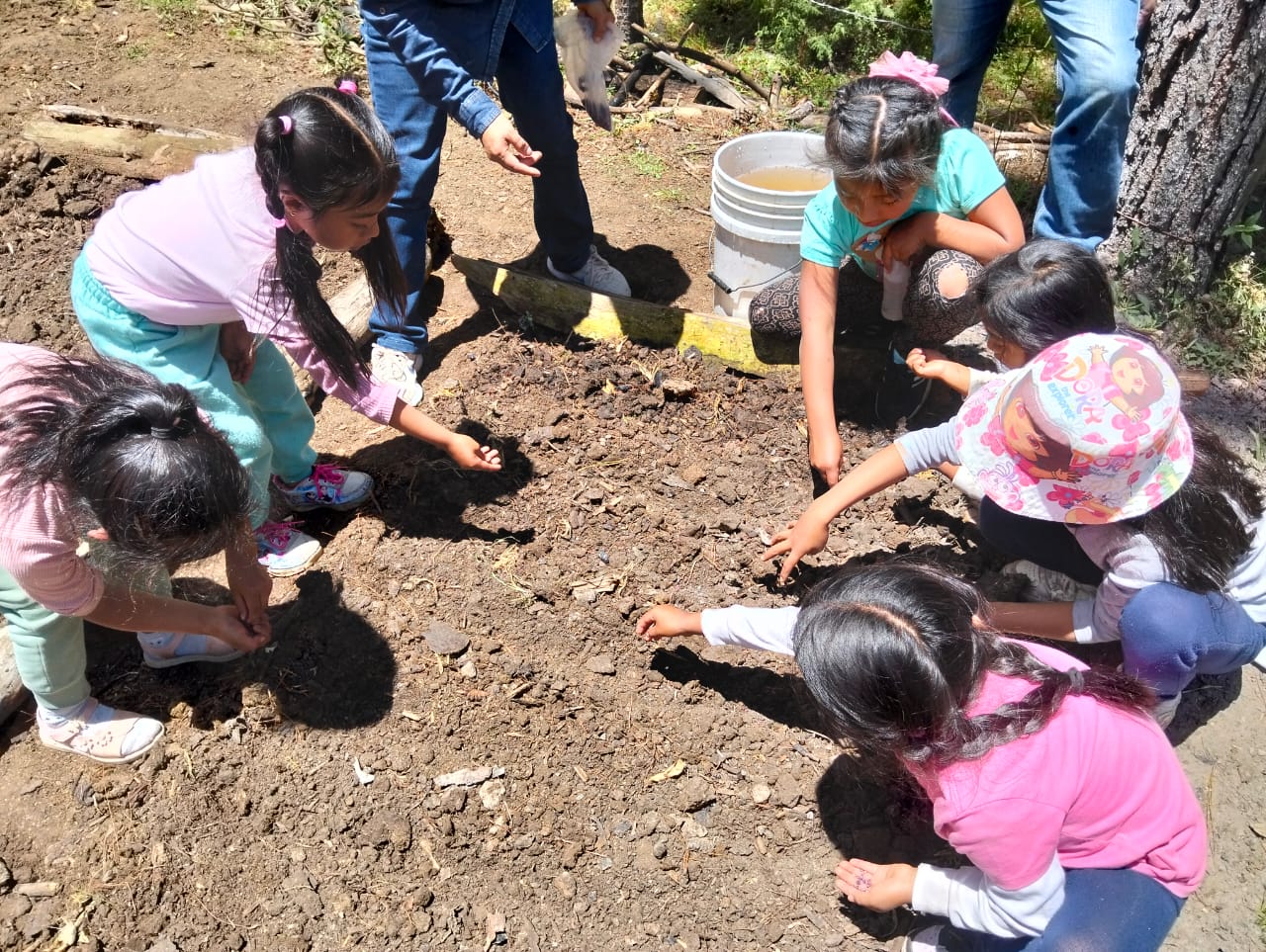 Young children planting seeds in the garden, Chiapas